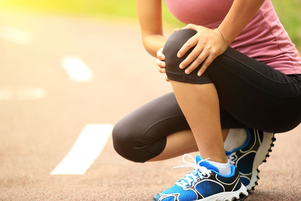 supporting joint and muscle health