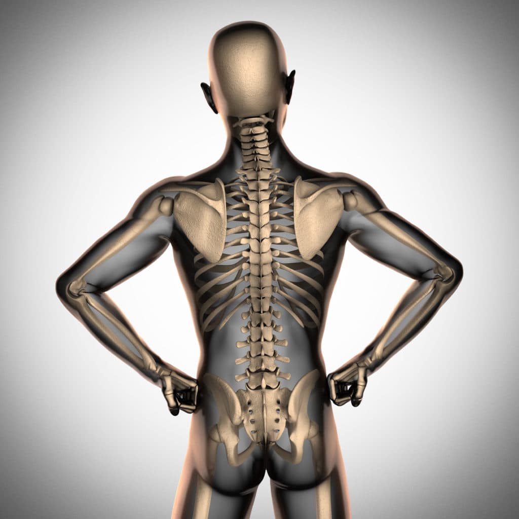 What You Should Know About Scoliosis