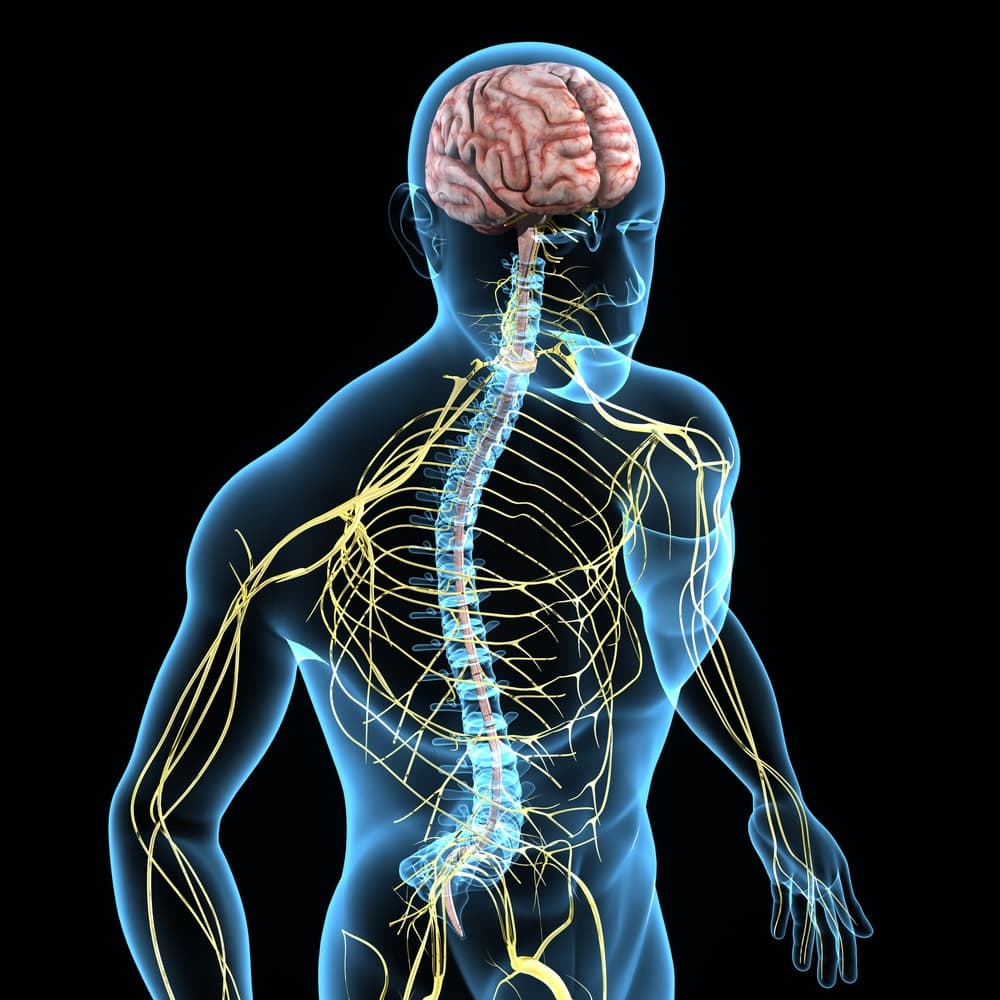 Chiropractic Solutions for Nerve Pain at Elevate Wellness