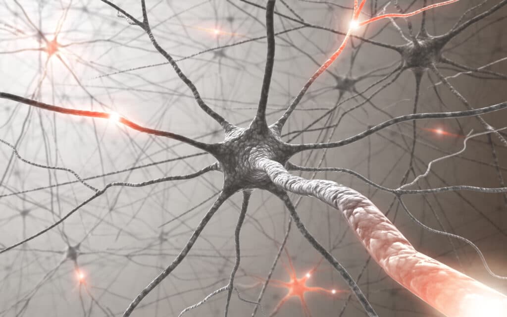 Everything You Should Know About Nerve Pain