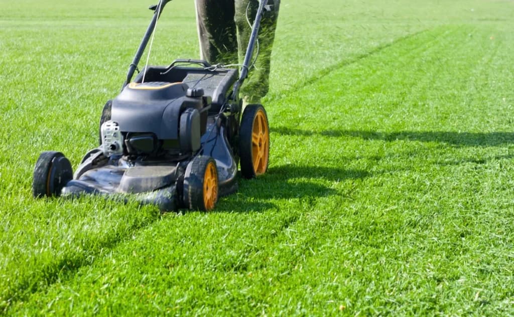 How to Prep Your Body for Yard Work Season