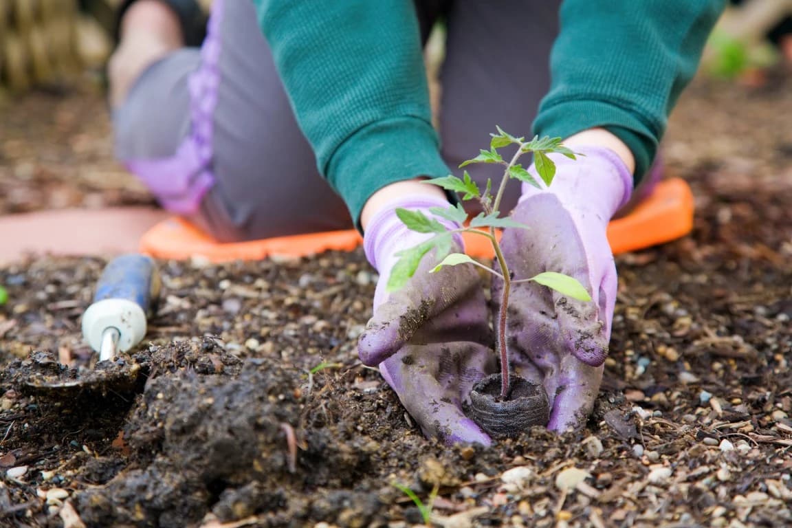 How To Prep Your Body For Yard Work Season