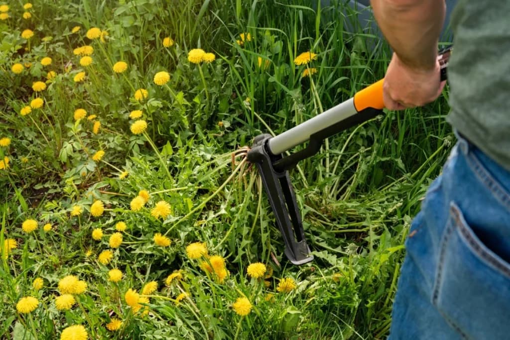 How to Prep Your Body for Yard Work Season