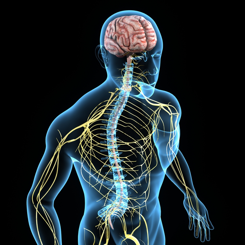 Everything You Should Know About Nerve Pain Everything You Should Know About Nerve Pain
