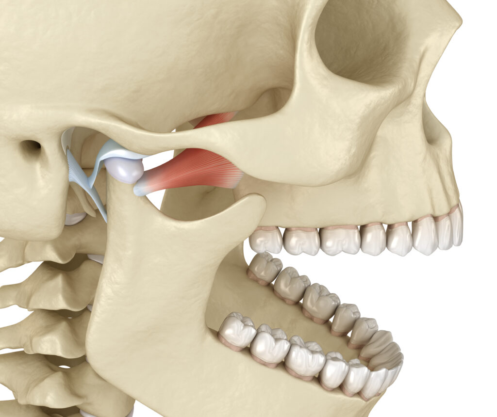 TMJ Disorders: The Unexpected Role of Chiropractic Care